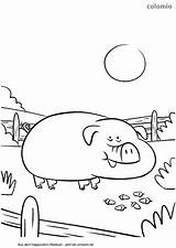 Pig Coloring Acorns Big Piglet sketch template