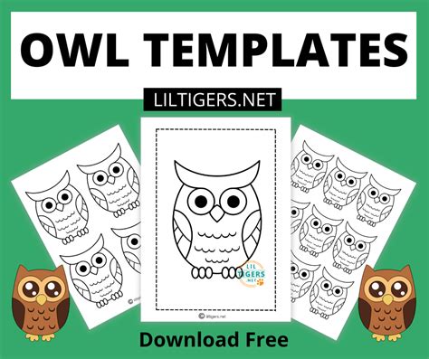 printable owl templates lil tigers lil tigers