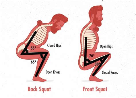 barbell front squat guide  building muscle