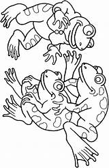 Frog Coloring Pages Birthday sketch template