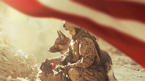 Megan Leavey Review Could Have You In Tears Of Joy