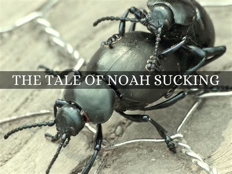 the tale of noah sucking by sdzen