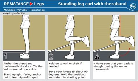 Exercises For Legs Health24