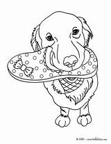 Coloring Pages Lab Yellow Dog Color Face Template Getdrawings Getcolorings sketch template