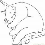Anteater Coloring Sleeping Tamandua Baby Pages Coloringpages101 Kids sketch template