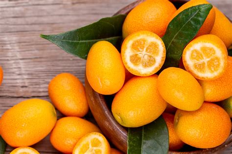 kumquat proprieta  utilizzi della fortunella  mandarino cinese