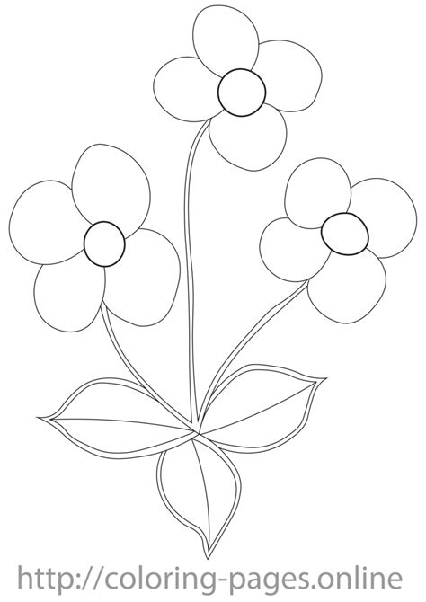 flower coloring page printable coloring pages  adults