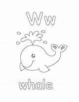 Whale Bulkcolor sketch template