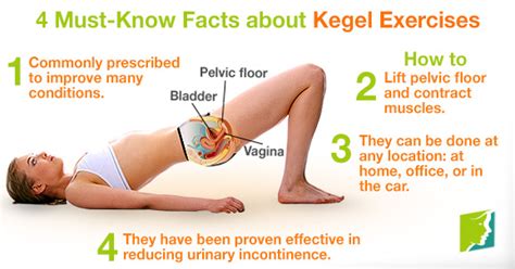 kegel exercises are pelvic floor exercise for women