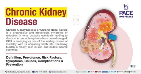 chronic kidney disease symptoms stages  risk factors