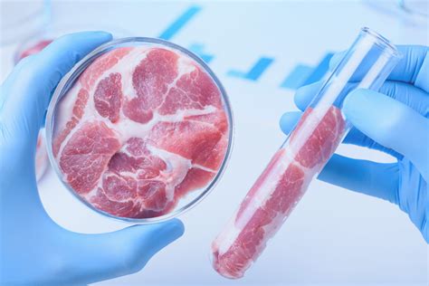 lab grownculturedcleanartificial meat production business