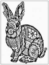 Coloring Pages Adult Printable Adults Animals Bunny Realistic Rabbit Easter Animal Detailed Print Colouring Unicorn Hard Google Color Kids Library sketch template