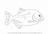 Piranha Draw Drawing Step Simple Coloring Template sketch template