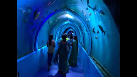 underwater tunnel aquarium  mysore  lokaranjan aqua world