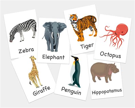 zoo animal flashcards printable flashcards learning  babies  kids