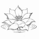 Lotus Flower Coloring Tattoo Kids Drawing Color Google Growing Water Pages Kidsplaycolor источник Play sketch template