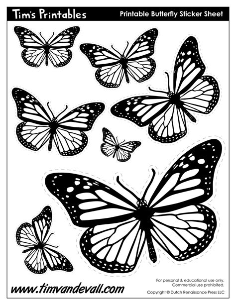 butterfly templates tims printables
