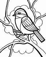 Coloring Tree Sparrow Pages Birds Print Topcoloringpages Bird Sitting sketch template