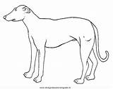 Hunde Colorare Alano Malvorlage Kategorien sketch template