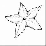 Starfish Coloring Pages Sea Printable Urchin Fish Kids Color Colouring Clipart Getcolorings Cliparts Results sketch template