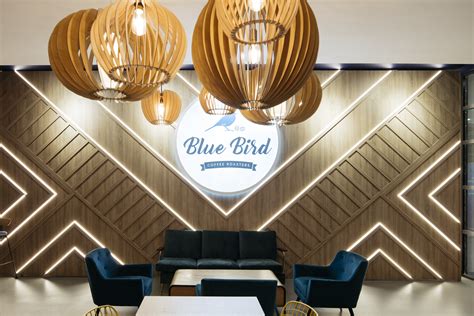 bluebird cafe ucd dublin oppermann
