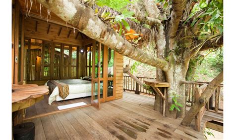 10 of the most amazing tree houses from around the world