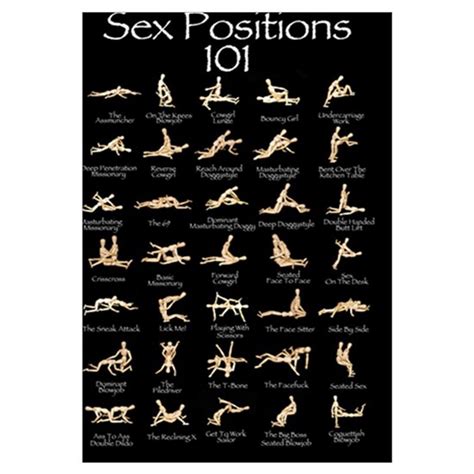 Sex Positions 101 By Listing Store 129918067 Cafepress