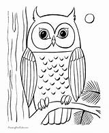 Owl Coloring Pages Printable Bird Kids Drawing Powered Results Forest Animals Yahoo Eule Draw Print Baby sketch template