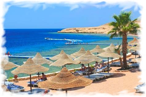 Live Webcam Sharm El Sheikh Egypt In High Quality