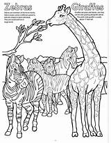 Zoo Coloring Giraffe Animals Big Books Song Book Really sketch template