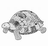 Turtle Mania sketch template