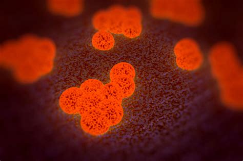 yr  student devises solution  superbugs