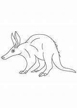 Aardvark sketch template