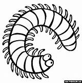 Coloring Millipede Centipede Pages Insect Clipart Color Creepy Cartoon Crawlers Centipedes Colouring Online Clip Insects Kids Print Millipedes Sheets Colour sketch template