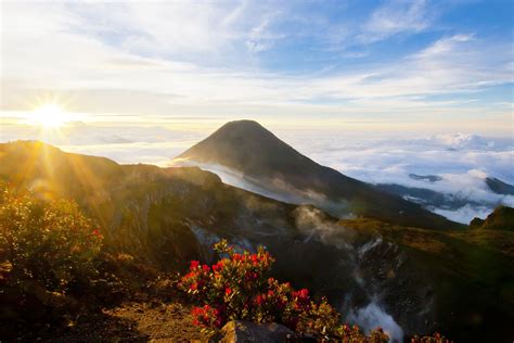 exploring gunung gede volcano park  indonesia