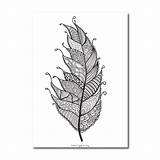 Feather Zentangle Colouring sketch template