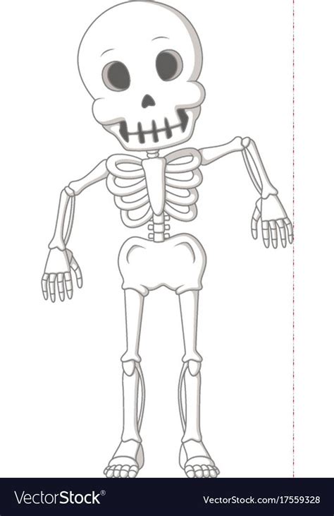 Cartoon Funny Human Skeleton Dance Vector Image On