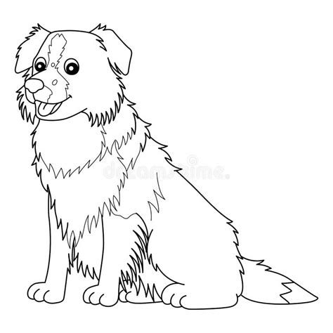border collie dog isolated coloring page  kids stock vector