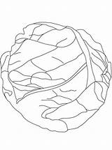 Cabbage Kool Groente sketch template