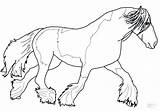 Horse Coloring Pages Gypsy Mustang Horses Clydesdale Morgan Baby Paint Drawing Printable Vanner Draft Desenho Pferd Tinker Ausmalbild Para Realistic sketch template