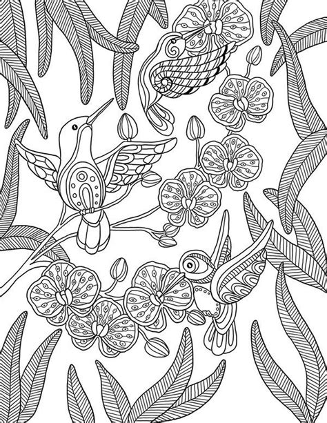 birds colouring page bird coloring pages coloring book pages