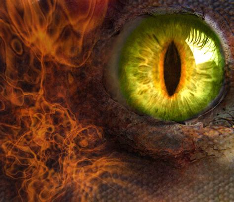 dragon eye  insanityismyreality  deviantart