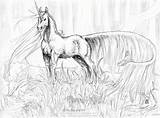 Adults Unicorni Kopf Einhorn Stampare Ausmalbilder Cavalli Kleurplaat Volwassenen Pegasus Cavallo Unicorno Divyajanani Pagine sketch template