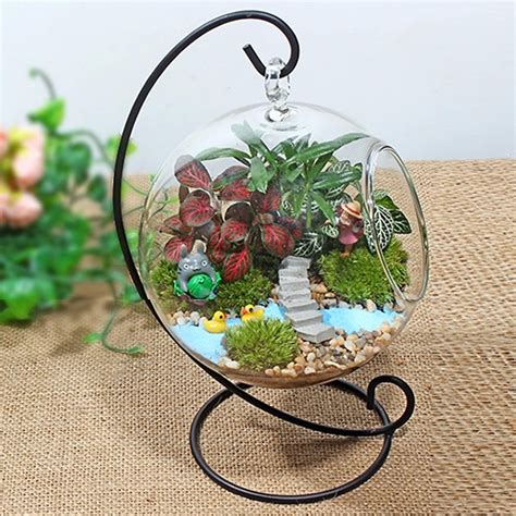 Creative Clear Glass Ball Vase Micro Landscape Air Plant Terrarium