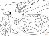 Coloring Lizard Pages Printable Lizards Drawing Simple Categories sketch template