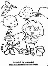 Coloring Dora Nickelodeon Explorer Pages Blueberry Sheets Kids Characters Color Cartoon Printable These sketch template