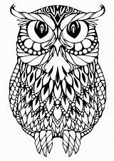 Coloring Pages Animals Adults Adult Colouring Clipart Printable Easy Patterns Library sketch template