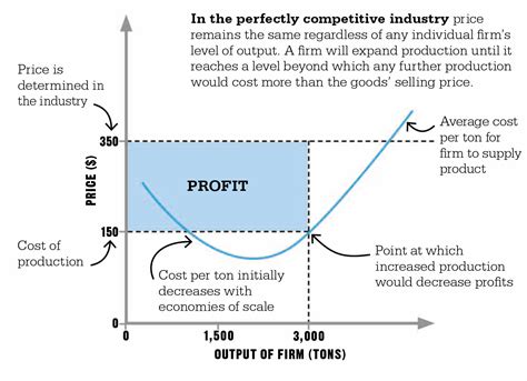 competitive market companies  price takers  price makers