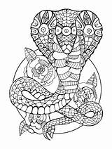 Cobra Serpent Coloriage Mandala Kobra Volwassenen Adultes Schlange Colorier Erwachsene sketch template