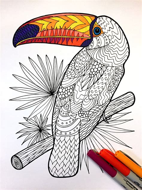 toucan  zentangle coloring page etsy